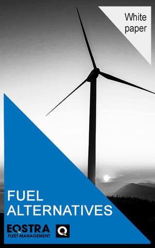 Alternative fuels whitepaper